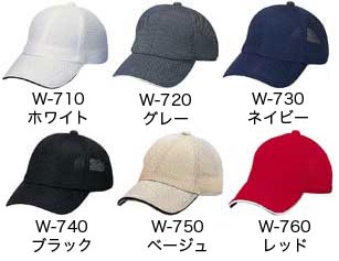 色見本